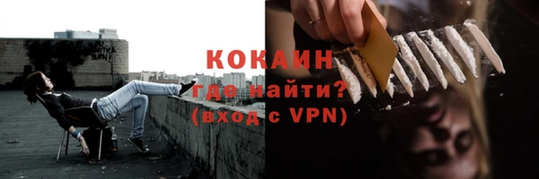 прущие грибы Осинники