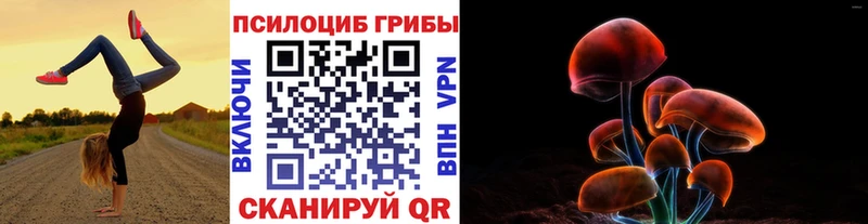 Псилоцибиновые грибы Psilocybe  Прохладный 