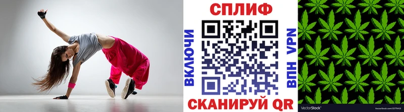 Конопля OG Kush  Прохладный 